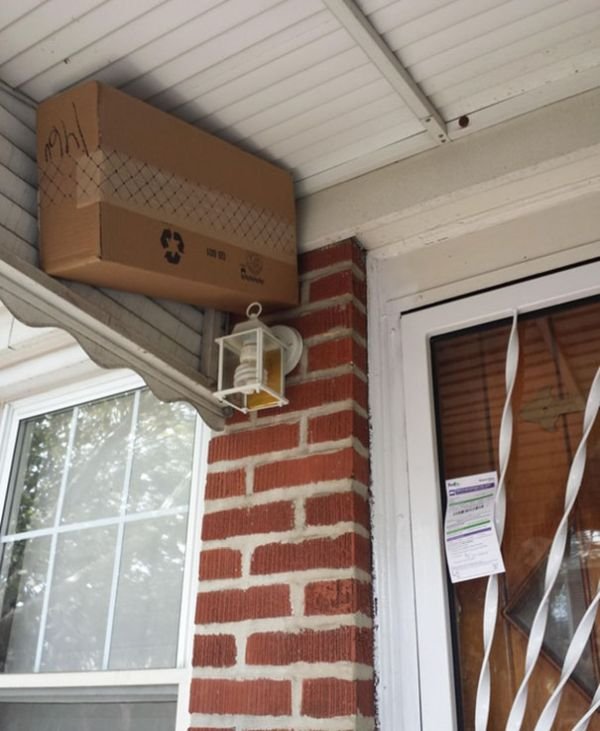 TOP Funny Delivery Drivers Fails Hide Package Above Lampa