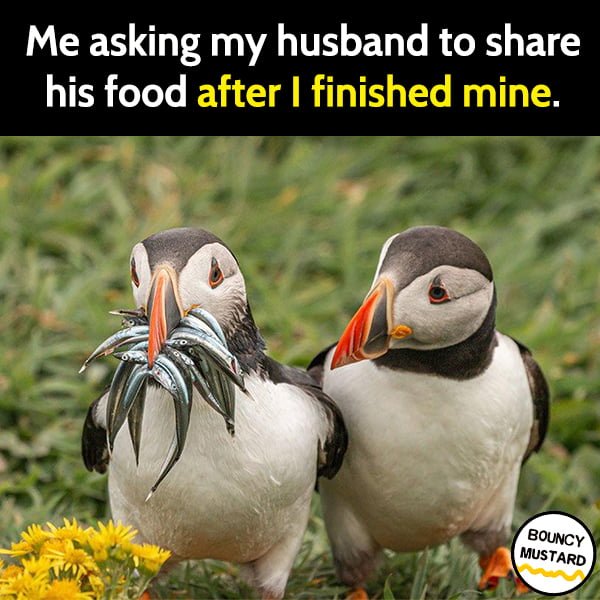 Random Funny Meme March: Me asking my husband to share his food after I finished mine.