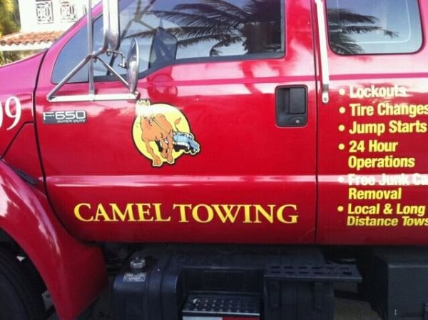 Funny Creative Business Name Idea CAMEL TOWING