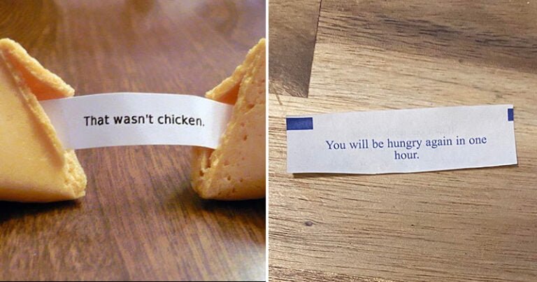 25-funniest-fortune-cookie-messages-people-ever-found-bouncy-mustard