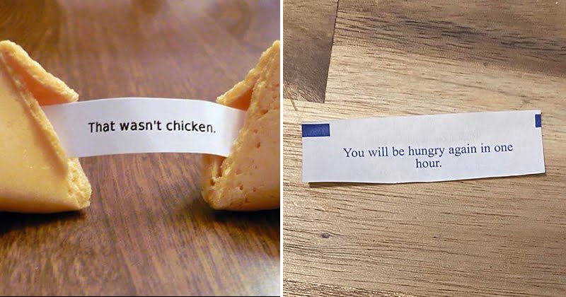 Funniest Fortune Cookie Sayings