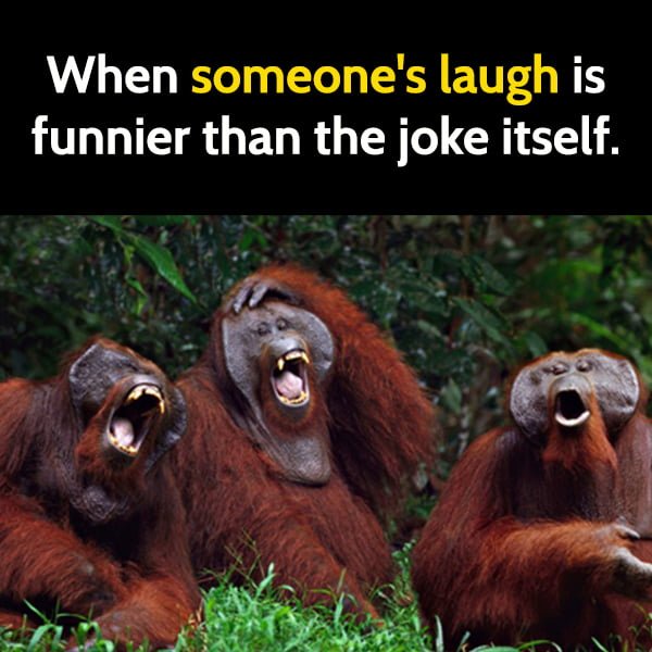 Funny meme When someone's laugh is actually funnier than the joke itself.