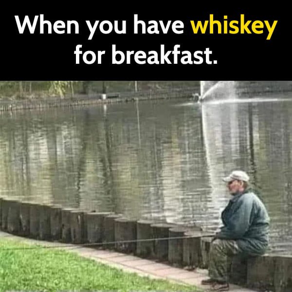Funny meme When you have whiskey for breakfast.