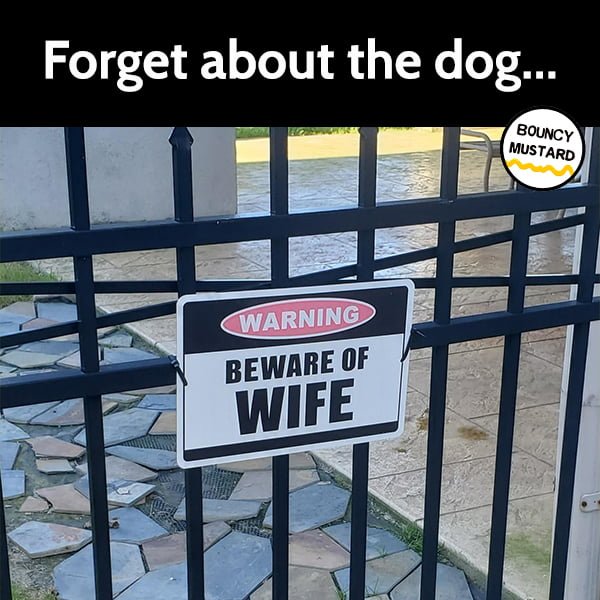 Funny meme Forget about the dog...