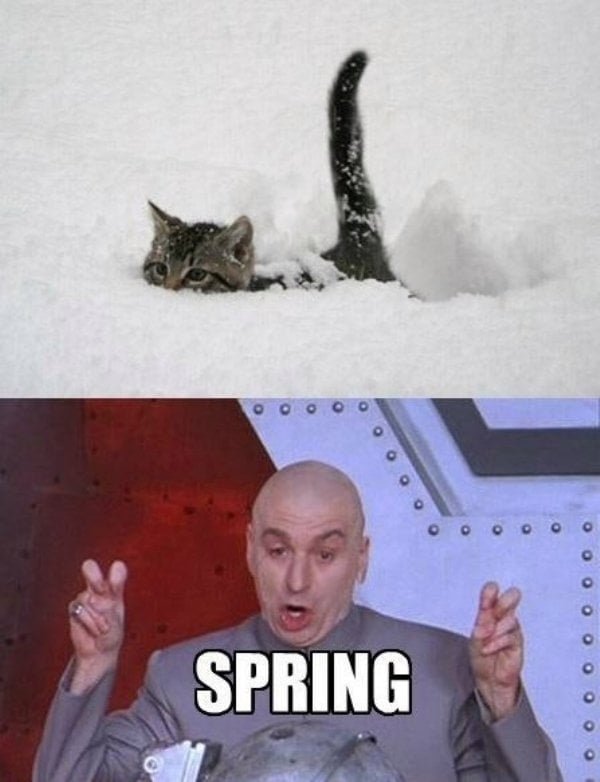 Funny spring meme