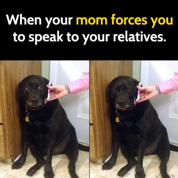 Funny meme may When your mom forces you to speak to your relatives