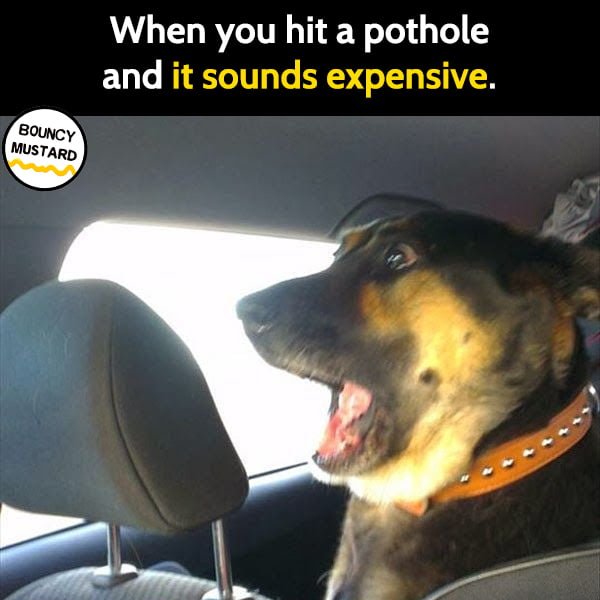 Funny meme april When you hit a pothole and it sounds expensive.
