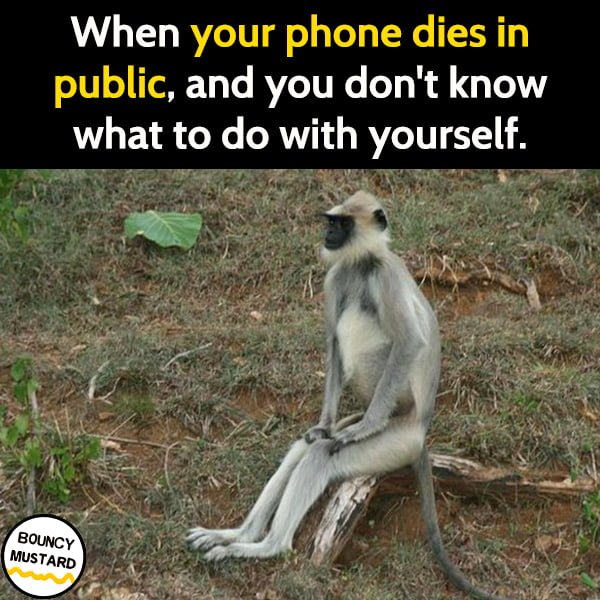 Funny meme When your phone dies in public, and you don't know what to do with your hands.