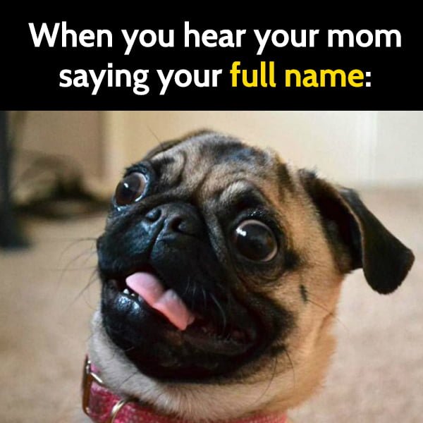 Funny meme april When you hear your mom saying your full name: