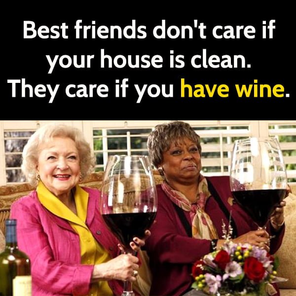 Funny memes Best Friends: Best friends don't care if your house is clean. They care if you have wine.