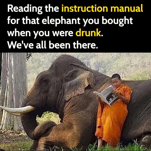 Funny meme may Reading the instruction manual for that elephant you bought when you were drunk. We've all been there.