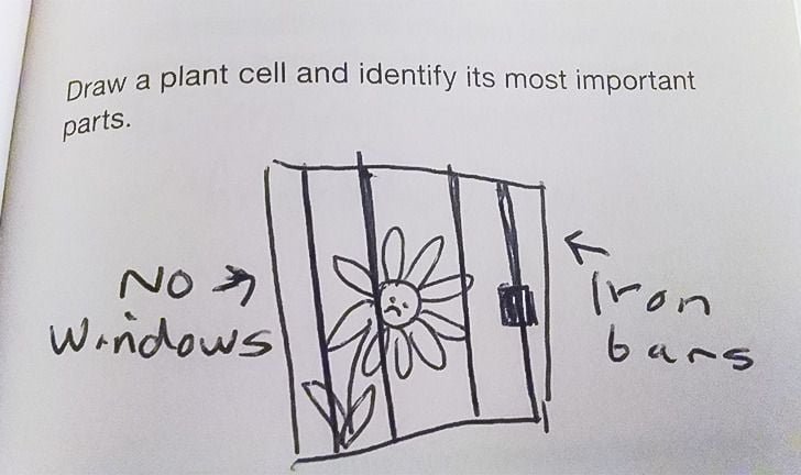 Funny Kids Test Answer draw a plant cell