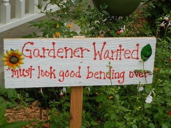 Funny Garden Sign Gardener wanted must look good bending over