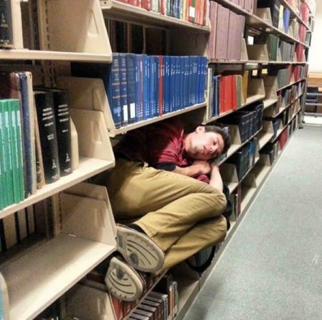 Funny People Fell Asleep Napping In Public Places library