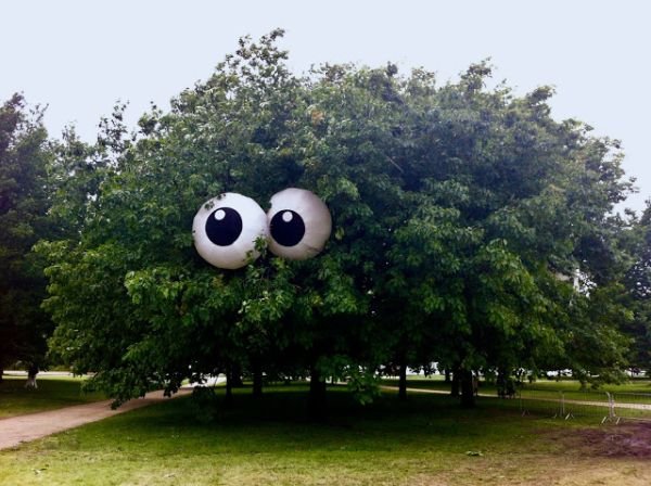 funny googly eyes on tree