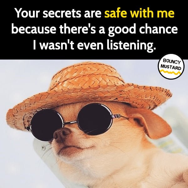 Funny Memes Your secrets are safe with me because there's a good chance I wasn't even listening.