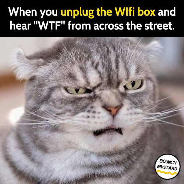Funny Memes When you unplug the WIfi box and hear "WTF" from across the street.