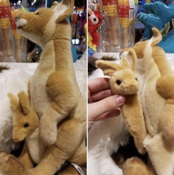 Funny Children Toy Design Fails Kangaroo