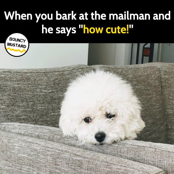 Funny Memes When you bark at the mailman and he says "how cute"