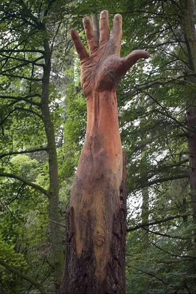 Impressive Wood Carving hand sculpture