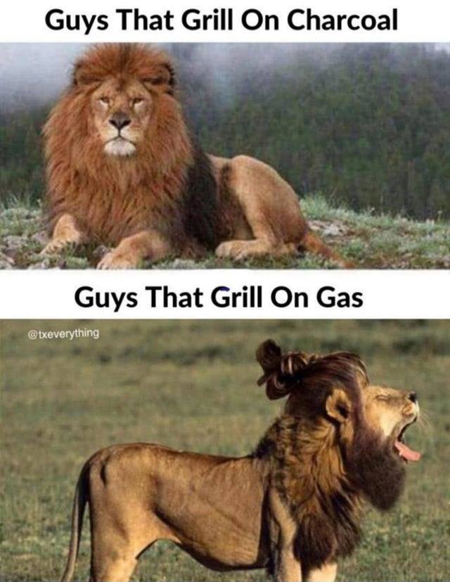 Funny Grilling Memes Guys that grill on charcoal vs guys that grill on gas