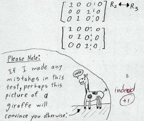 Funny Kids Test Answer giraffe drawing