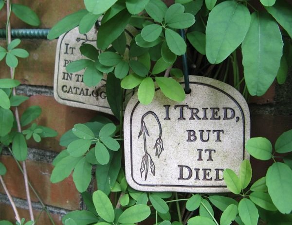 Funny Garden Sign I tried But It Died