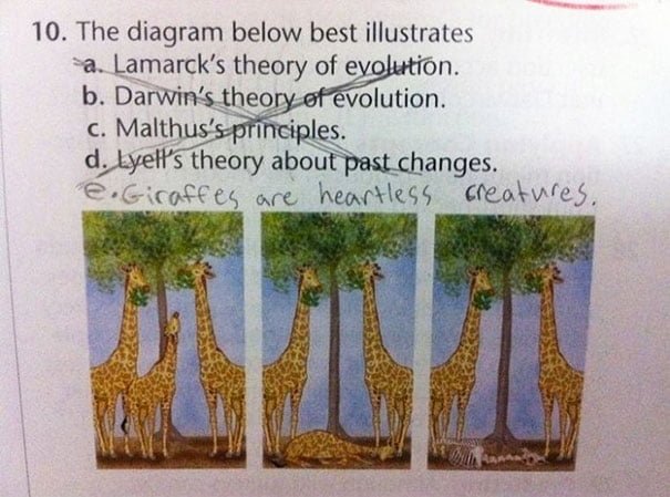 Funny Kids Test Answer giraffes are heartless creatures