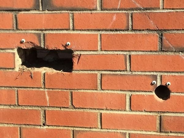 funny googly eyes on bricks