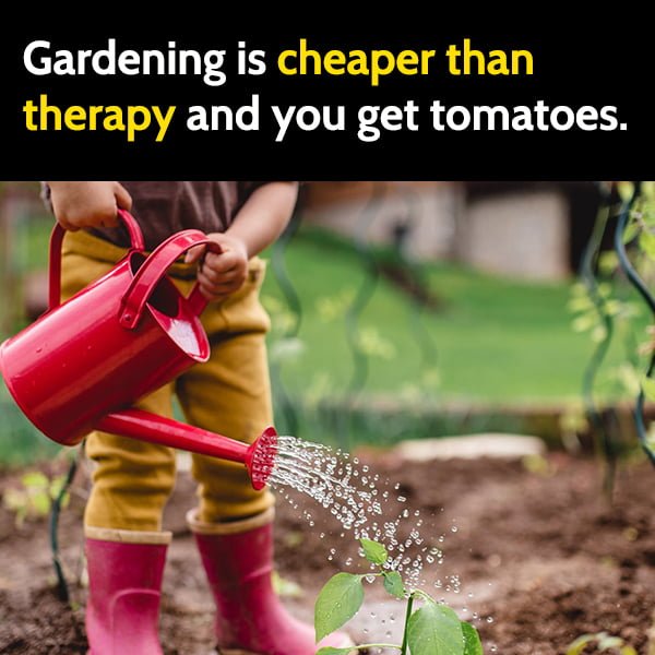 Funny Gardening Memes Gardening is cheaper than therapy and you get tomatoes.