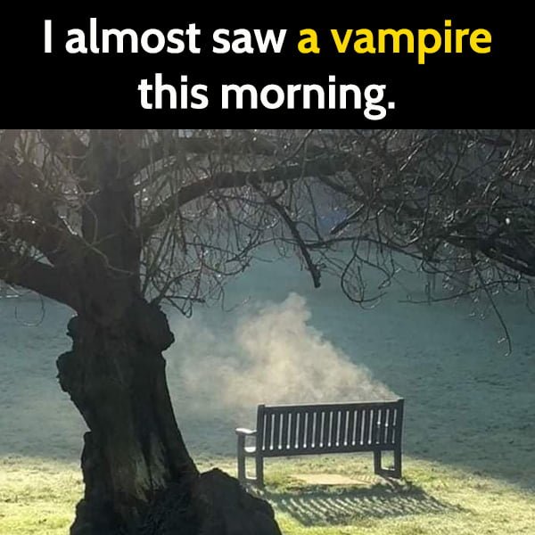 Funny Meme May I almost saw a vampire this morning.