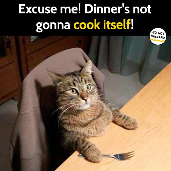 Funny Meme May Excuse me! Dinner's not gonna cook itself!