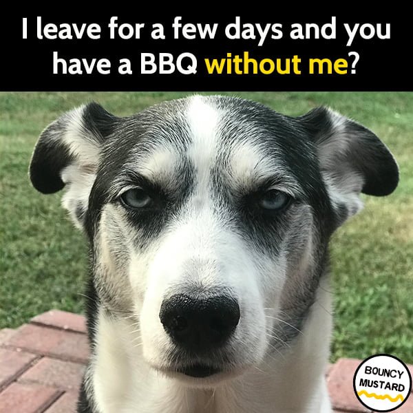 Funny Grilling Memes I leave for a few days and you have a BBQ without me?