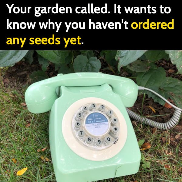 Funny Gardening Memes Your garden called. It wants to know why you haven't ordered any seeds yet.
