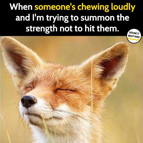 Funny Meme May When someone's chewing loudly and I'm trying to summon the strength not to hit them.