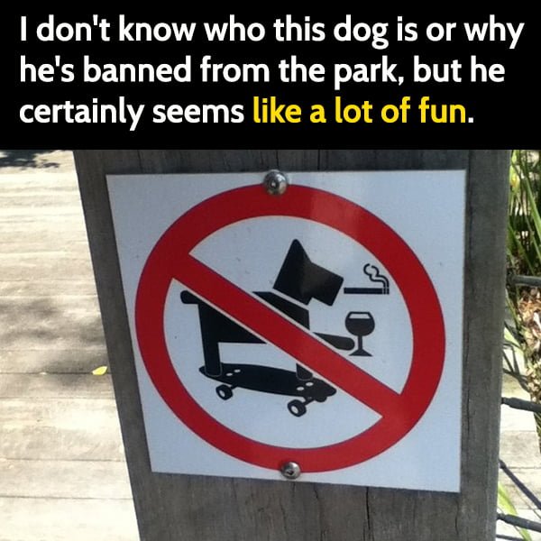 Funny Meme May I don't know who this dog is or why he's banned from the park, but he certainly seems like a lot of fun.