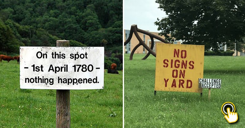 25 Hilarious Signs People Have Put Up In Their Yards - Bouncy Mustard