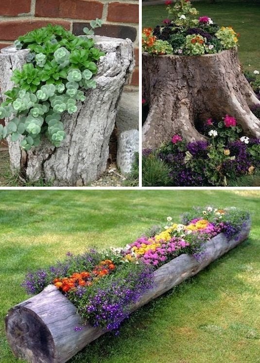 Creative Flower Bed Unique Garden Ideas