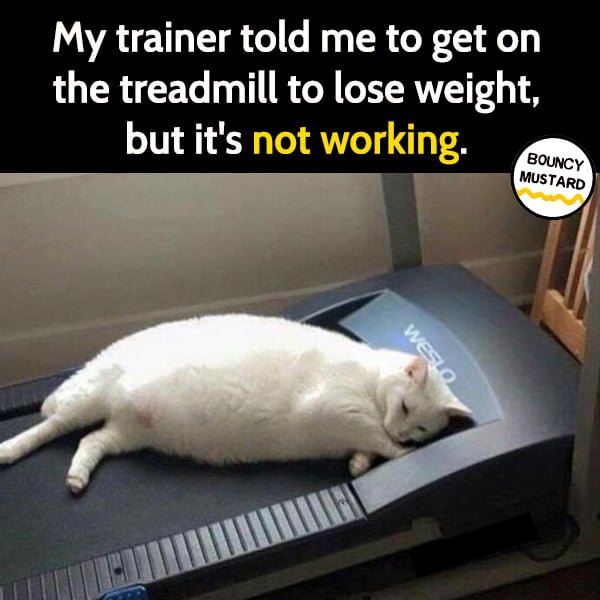 Funny random memes June My trainer told me to get on the treadmill to lose weight, but it's not working.