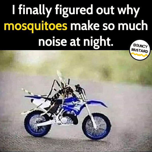 Funny meme June I finally figured out why mosquitoes make so much noise at night.