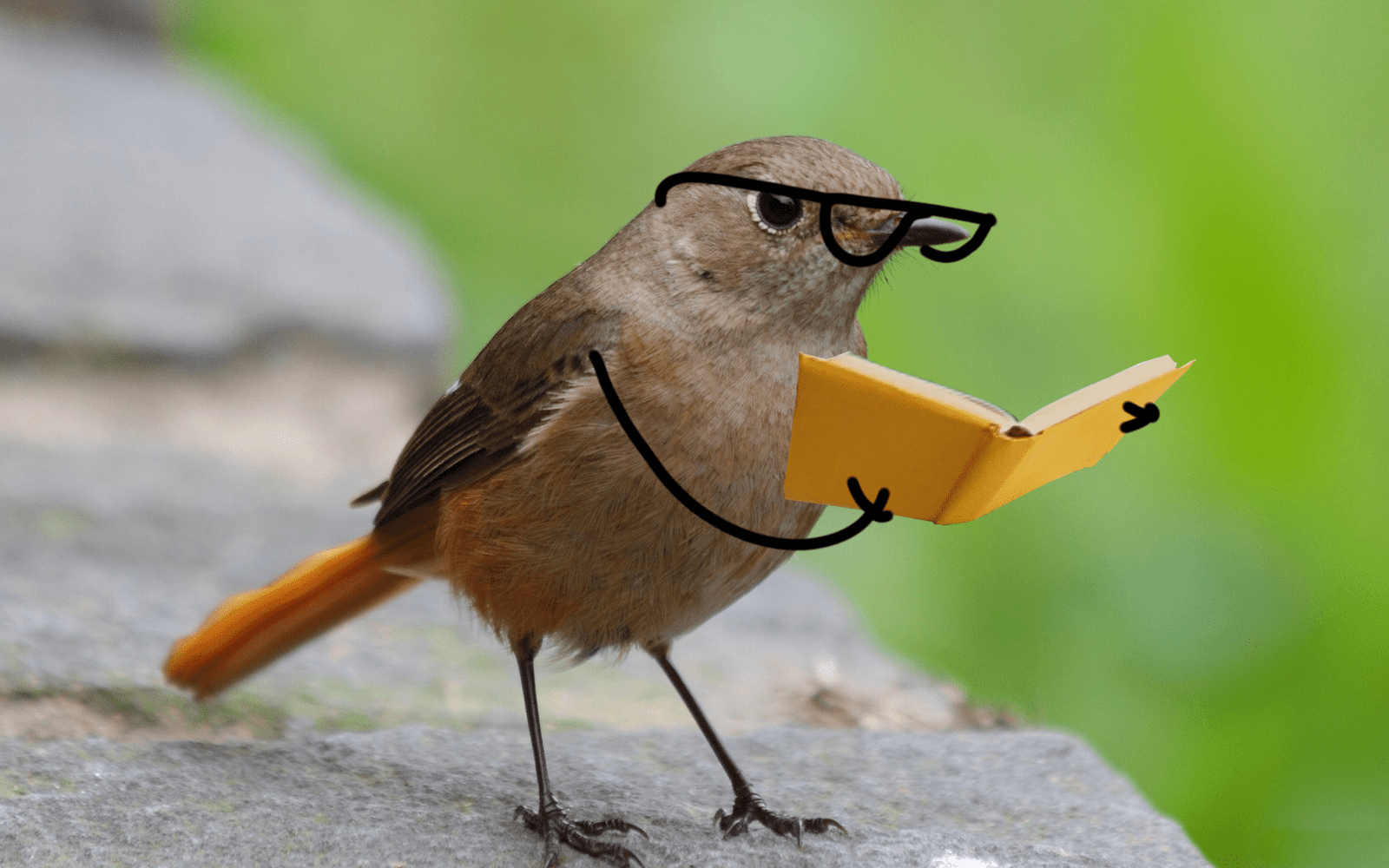 25 Hilarious Photos Of Birds With Arms That Will Make You Lol Bouncy 0510