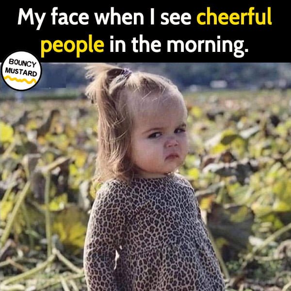 Funny meme June My face when I see cheerful people in the morning.