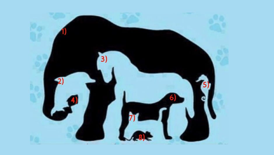 how many animals can you see hidden image riddle