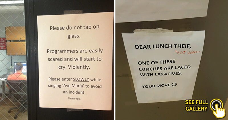 25 Hilarious Office Signs People Have Seen At Their Workplace - Bouncy  Mustard