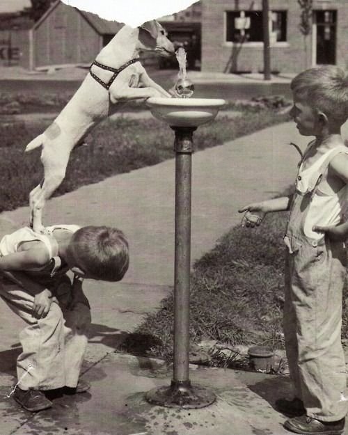 old black and white photo of child and dog