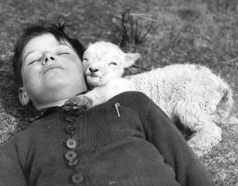 old black and white photo of child and lamb