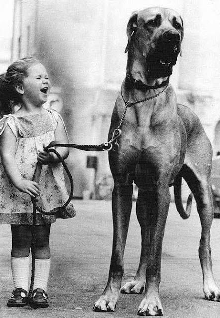 old black and white photo of child and dog