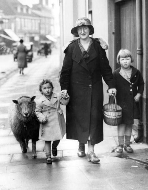 old black and white photo of child and pet lamb