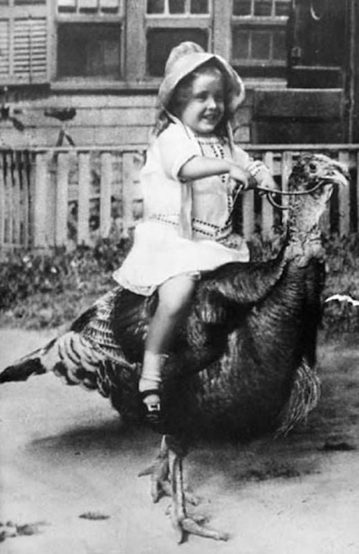 old black and white photo of child riding turkey