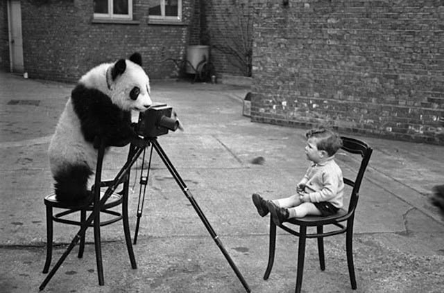 old black and white photo of child and panda